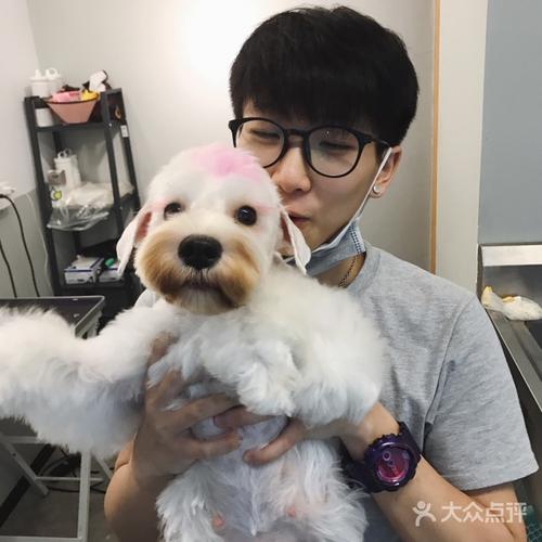 poppy 宠物美容工作室