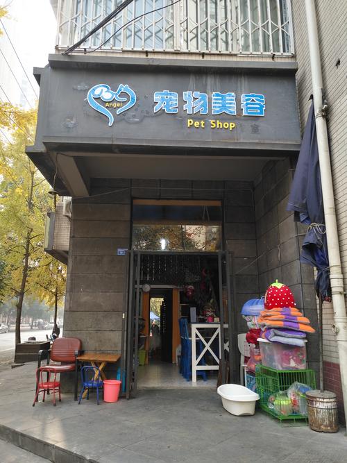 美容     宠物用品     宠物食品     宠物零食     宠物健康咨询服务
